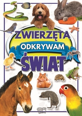 Zwierzęta. Odkrywam świat - Werner Joanna