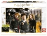 Puzzle 1000 Harry Potter (fluorescencyjne)