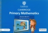  Cambridge Primary Mathematics Games Book 6