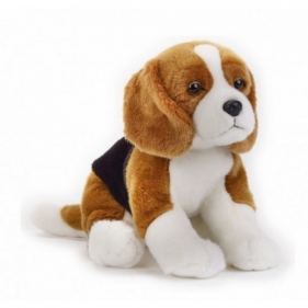 Beagle Maskotka (770688)