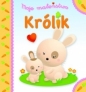 Moje maleństwo. Królik - Émilie Beaumont, Nathalie Bélineau