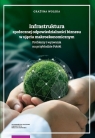 Infrastruktura społecznej odpowiedzialności biznesu w ujęciu Grażyna Wolska