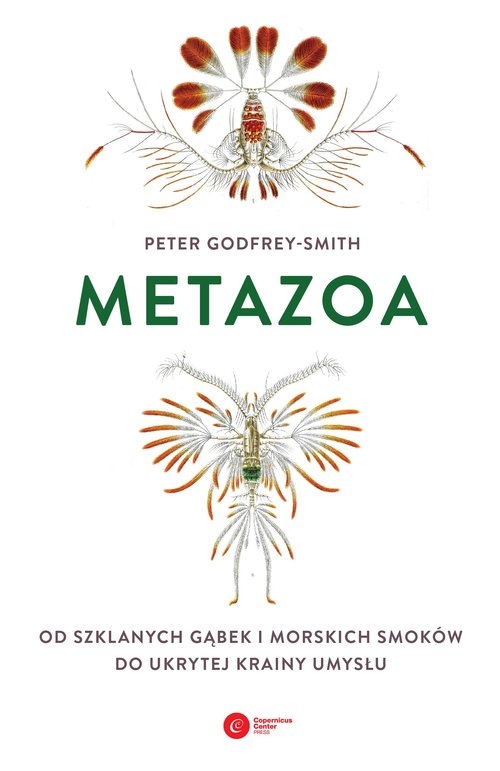 Metazoa