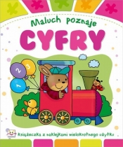 Maluch poznaje Cyfry - Anna Podgórska