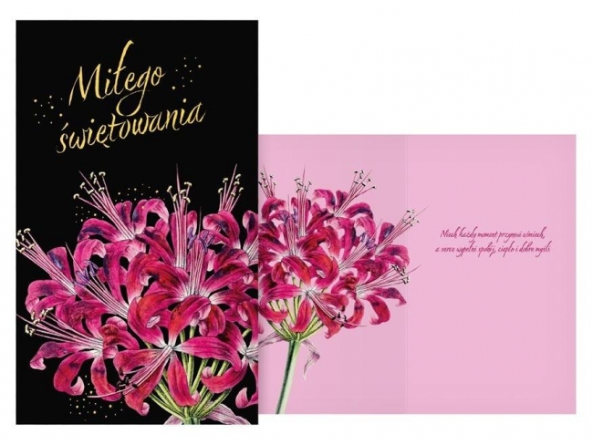 <img src='https://webimage.pl/pics/887/0/d8595724450887.jpg'>