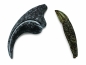 Ząb i pazur Allozaurusa w opakowaniu