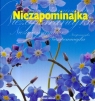 Niezapominajka