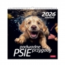 Kalendarz ścienny kwadrat - Psy pod Wodą