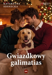 Opowieści z Wiary. Gwiazdkowy galimatias - Katarzyna Sosnecka
