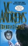 Broken Flower Andrews V.C.