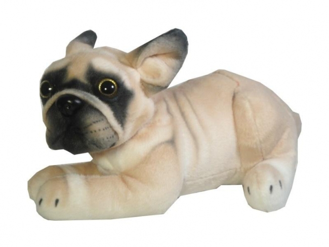 <img src='https://webimage.pl/pics/888/3/d5902496203888.jpg'>