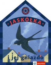 Jaskółka i jej gniazdo
