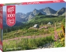  Puzzle 1000 CherryPazzi Gąsienicowa hall in Tatras 3005910+