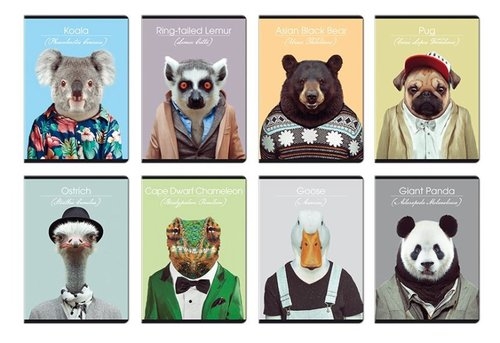 Zeszyt A5 w linie 60 kartek Zoo Portraits 5 sztuk mix