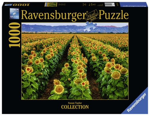 Puzzle 1000: Pola Słoneczników