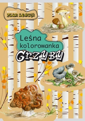 Grzyby. Leśna kolorowanka - Katarzyna Kopiec - Sekieta