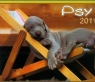Kalendarz 2011 WL08 Psy rodzinny