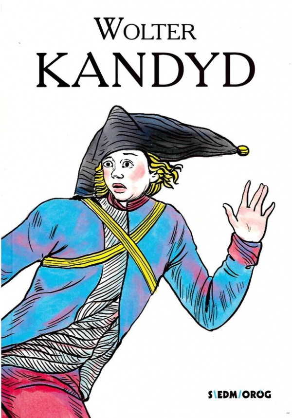 Kandyd - Wolter - książka