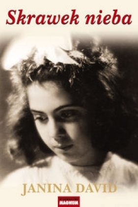 Skrawek nieba - Janina David