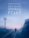 Czy tutaj śpiewają ptaki? Berenika Kołomycka