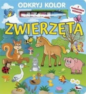 Odkryj kolor. Zwierzęta - Mirosława Kwiecińska