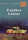  Panther Colour nr 589