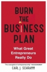 Burn The Business Plan What Great Entrepreneurs Really Do Carl J. Schramm