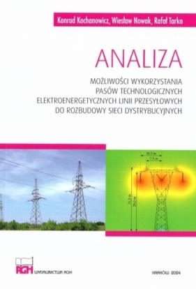 Analiza możliwości wykorzystania pasów technolog. - Rafał Tarko, Wiesław Nowak, Konrad Kochanowicz