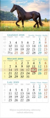 Kalendarz 2019 Trójdzielny Rumak KT19