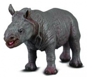 Nosorożec biały baby (004-88089)