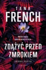Zbrodnie Dublina. Tom 1. Zdążyć przed mrokiem Tana French