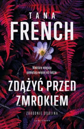 Zbrodnie Dublina. Tom 1. Zdążyć przed mrokiem - Tana French