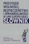 Przestrzeń wolności, bezpieczeństwa i sprawiedliwości w Unii Europejskiej.