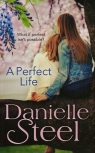 A Perfect Life  Steel Danielle