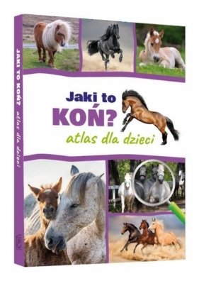 Jaki to koń Atlas dla dzieci - Twardowska Kamila, Twardowski Jacek