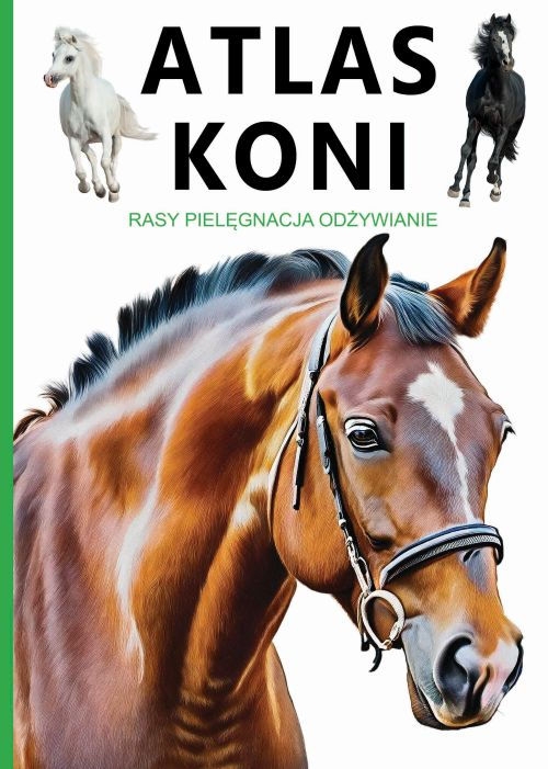 Atlas Koni. Rasy. Opieka. Zdrowie. Jeździectwo