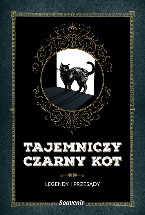 Tajemniczy czarny kot