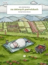 Na zielonych Pastwiskach - kolorowanka Katarzyna Rymorz
