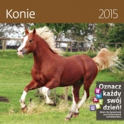 Kalendarz 2015 Konie Helma 30 - <br />