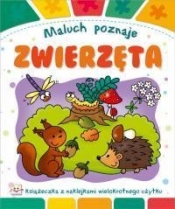 Maluch poznaje Zwierzęta - Anna Podgórska