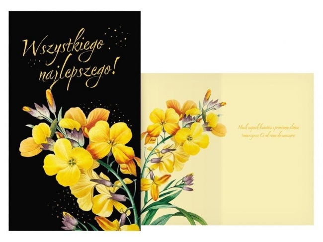 <img src='https://webimage.pl/pics/894/0/d8595724450894.jpg'>