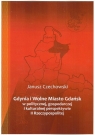 Gdynia i Wolne Miasto Gdańsk w politycznej gospodarczej i kulturalnej Janusz Czechowski