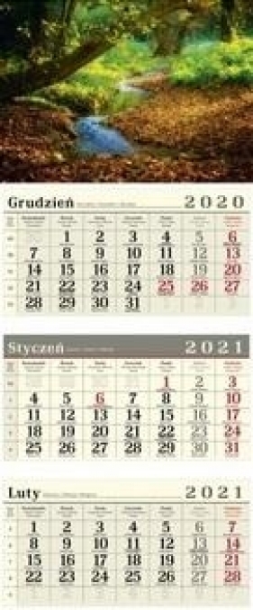 Kalendarz 2021 Trójdzielny Las CRUX
