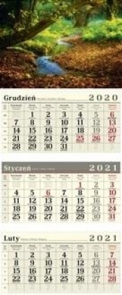 Kalendarz 2021 Trójdzielny Las CRUX
