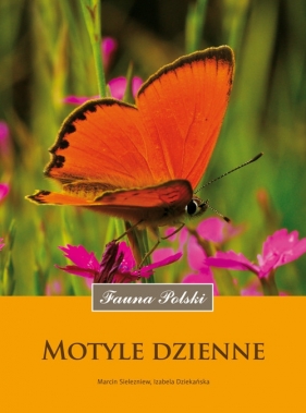 Motyle dzienne - Sielezniew Marcin, Dziekańska Izabela