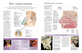 Atlas anatomiczny. Ciało człowieka: budowa i funkcjonowanie - Peter Abrahams