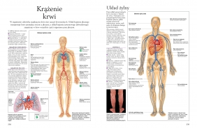 Atlas anatomiczny. Ciało człowieka: budowa i funkcjonowanie - Peter Abrahams
