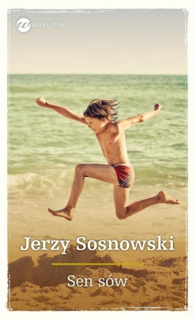 Sen sów - Sosnowski Jerzy