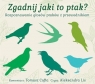 Zgadnij jaki to ptak? audiobook Tomasz Cofta, Aleksandra Lis