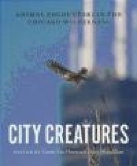 City Creatures Dave Aftandilian, Gavin Van Horn